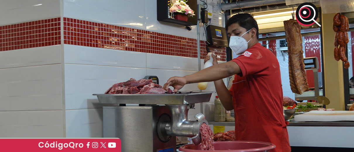 salario mínimo, Conasami