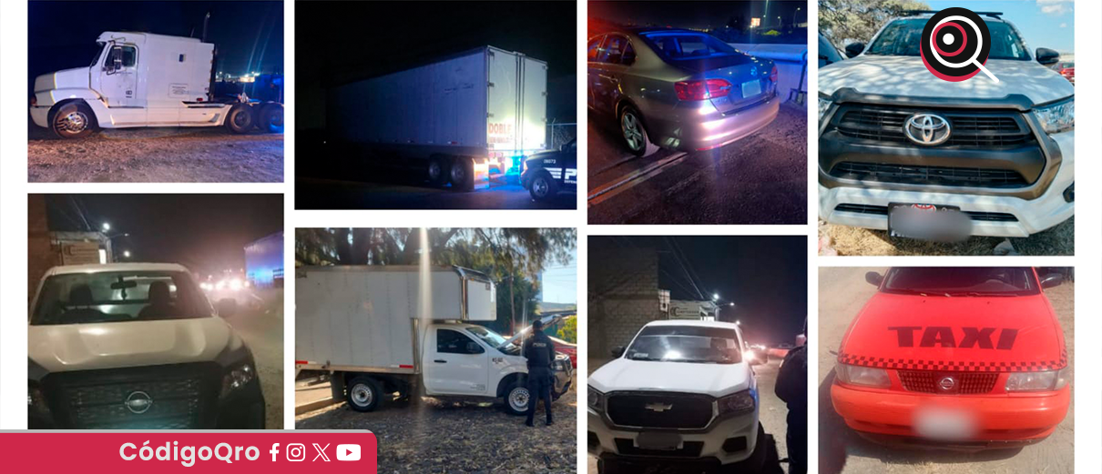 recuperan, 15 vehículos, reporte, robo,