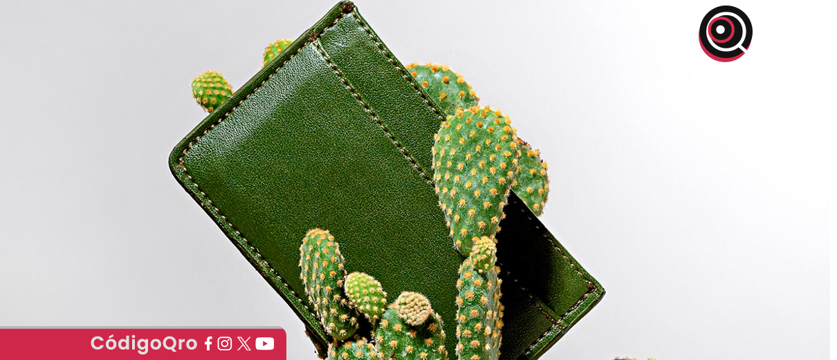 cuero, nopal, alternativa, ecológica, moda,
