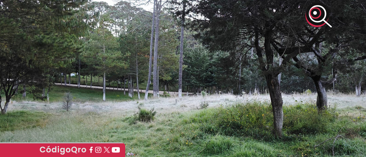 Alertan sobre entrada del frente frío 16