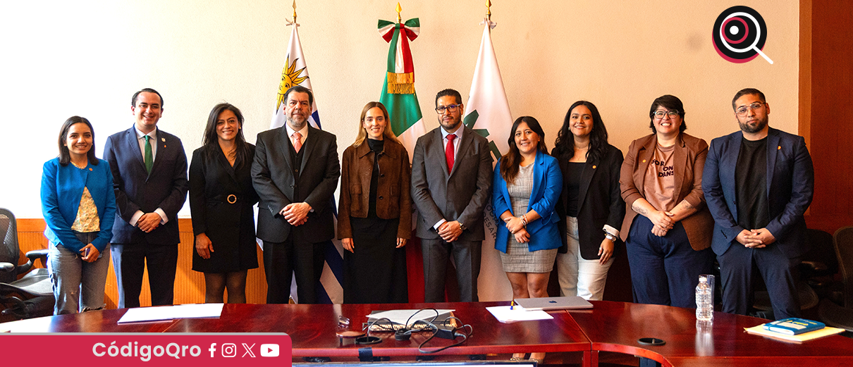 proyecto, salud mental, Sejuve, financiamiento, internacional,