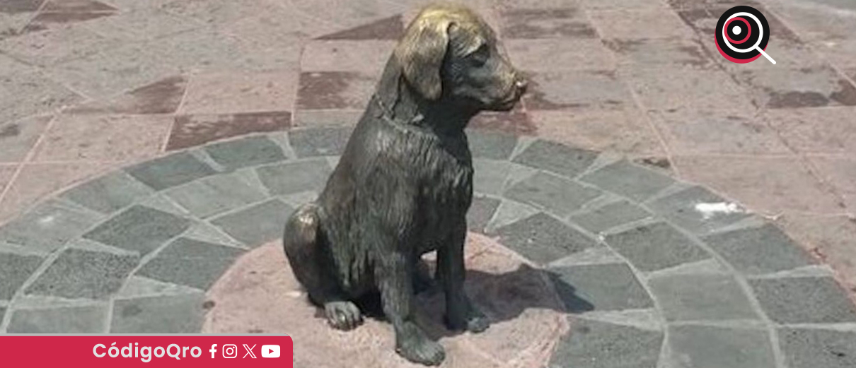Pimpón, Hachiko, queretano,