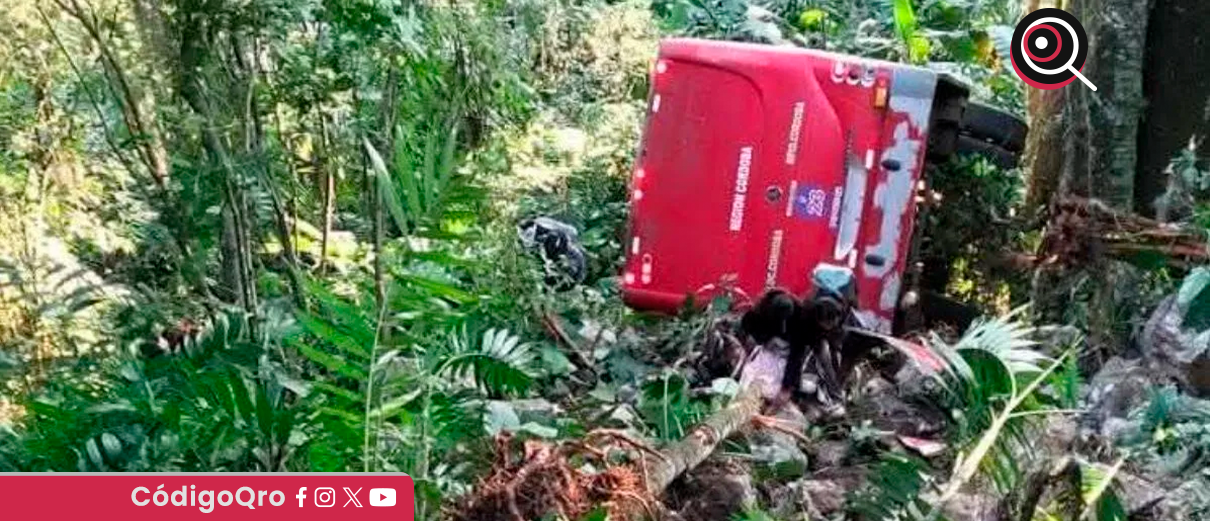 Caída de autobús en Veracruz deja un saldo de 20 lesionados 