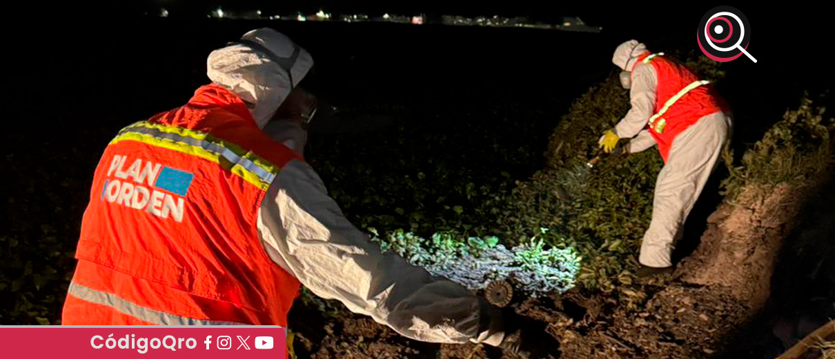 El municipio de Querétaro redobló las acciones para eliminar la proliferación de mosquitos