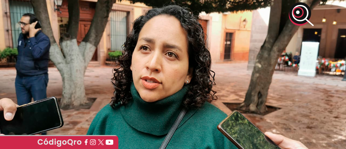 alcaldesa, Vizarrón, municipalización,