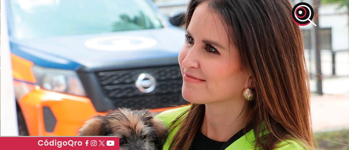 siete, perros, retirados, calle, dueño, Secretaría de Bienestar Animal, mascotas,