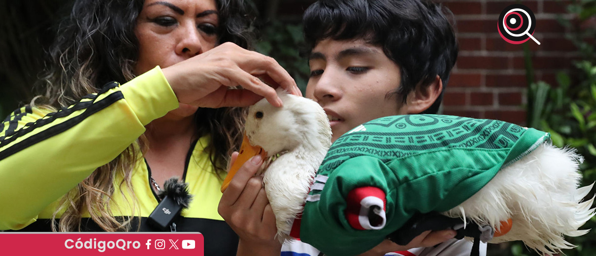 El pato Merlín se ha convertido en la mascota no oficial dela Copa Mundial de la FIFA 2026