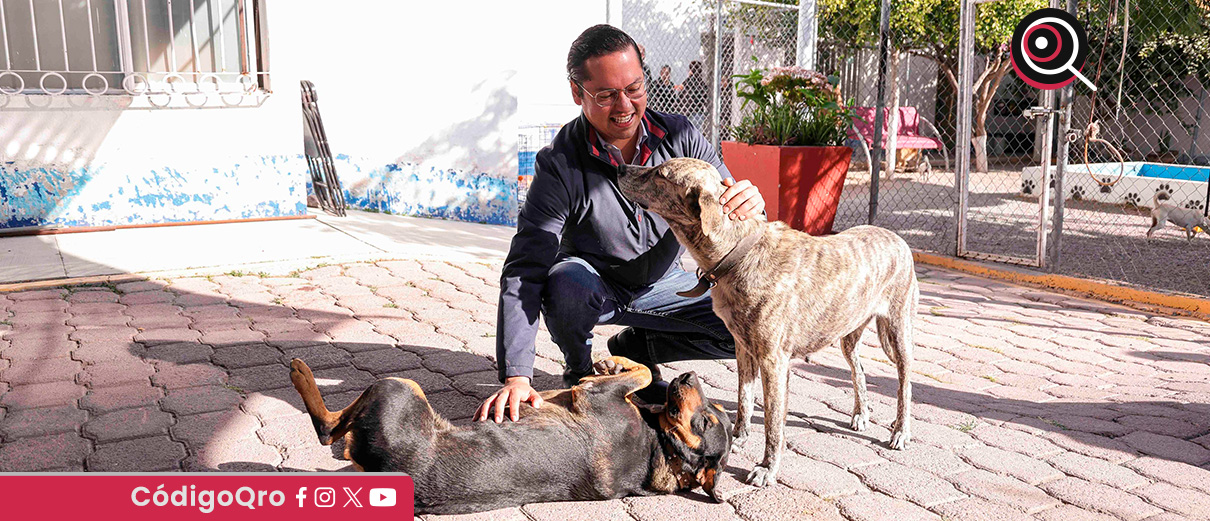 El municipio de Corregidora pondrá en marcha una nueva clínica veterinaria