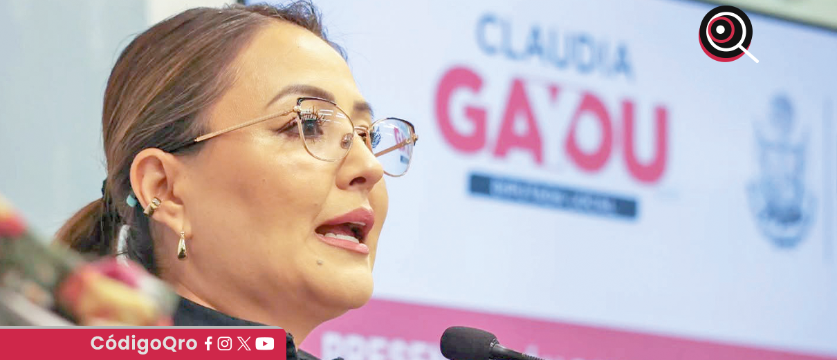 diputada, parlamentos, ley de protección, periodistas,