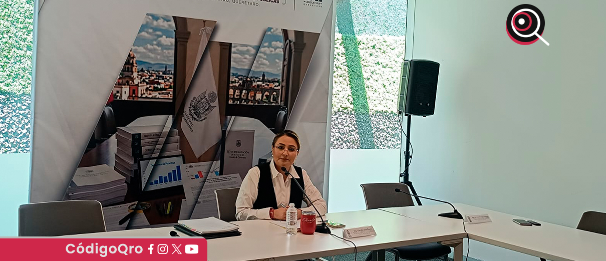 La diputada local del PT, Claudia Díaz Gayou, hizo una denuncia sobre posible conflicto de interés