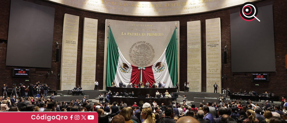 diputados, obligatoria, copia, contrato laboral,