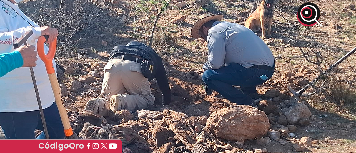 Colectivos deben pedir apoyo a Comisión Local de Búsqueda: Eric Gudiño