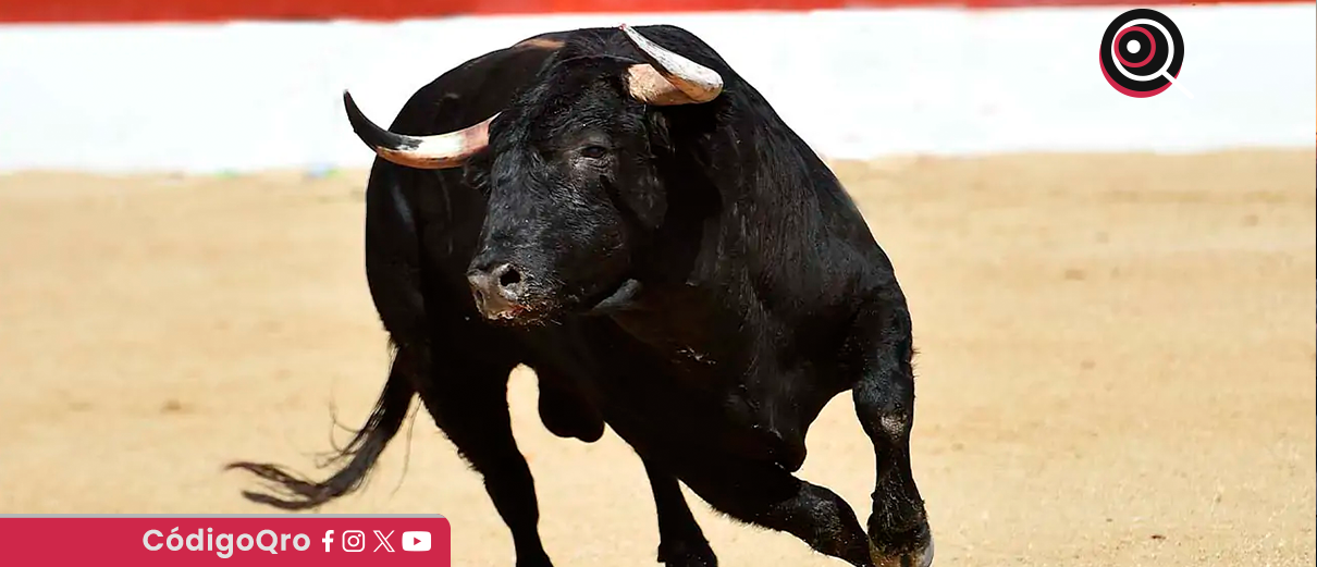 corrida de toros, Juriquilla,