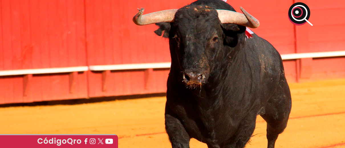 jueza, suspensión provisional, corrida de toros, San Juan del Río, Animal Heroes,