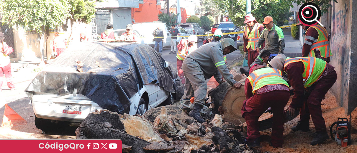 Evalúan daños en 24 municipios de Guerrero por sismo de magnitud 6.5