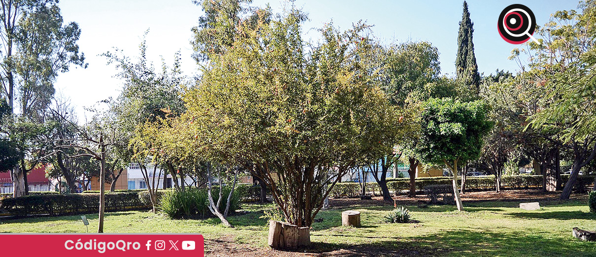 La Sedesu alista el decreto de Área Natural Protegida para el parque Los Alcanfores