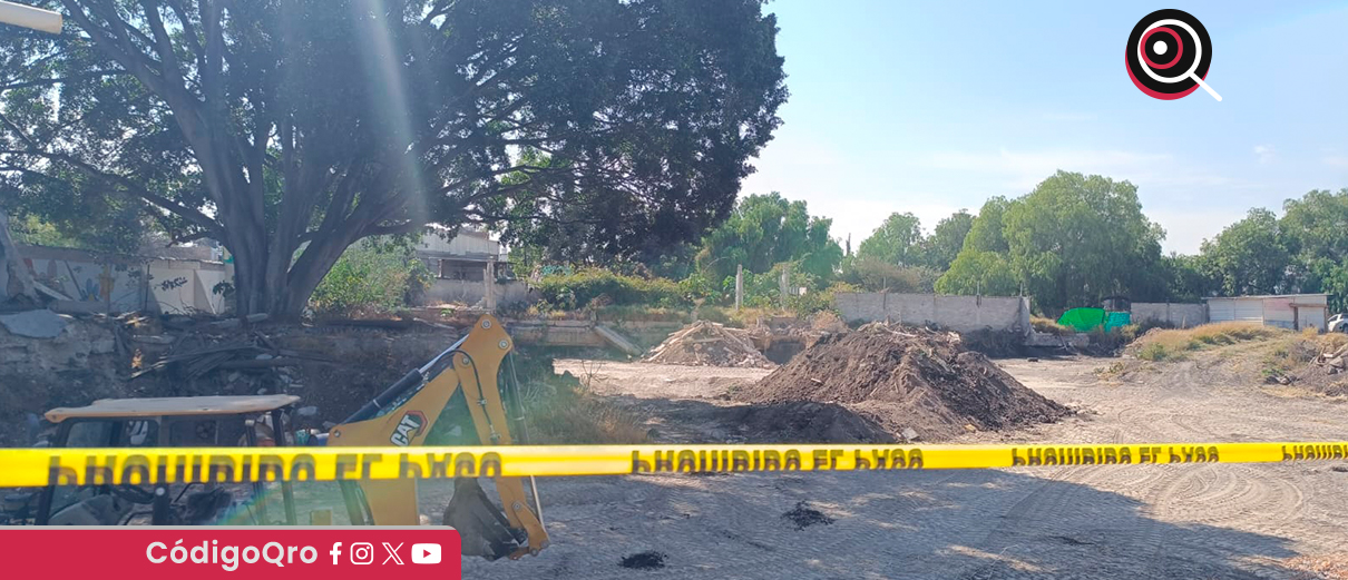 Denuncian obras y tala a un costado del mercado Felipe Carrillo Puerto