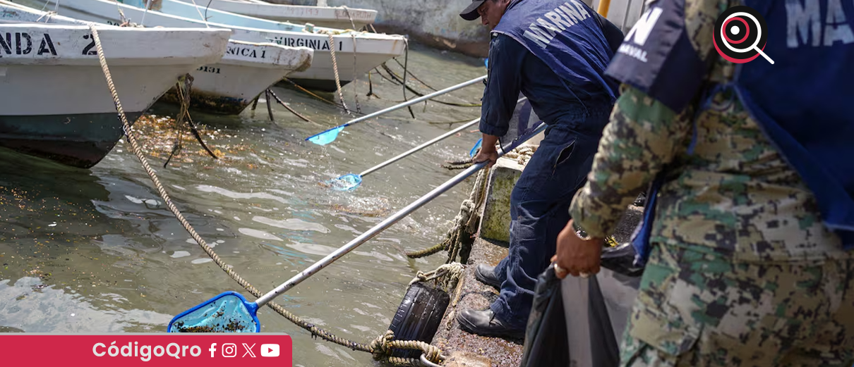 Derrame en el Golfo de México afecta 900 kilómetros de litoral: organizaciones
