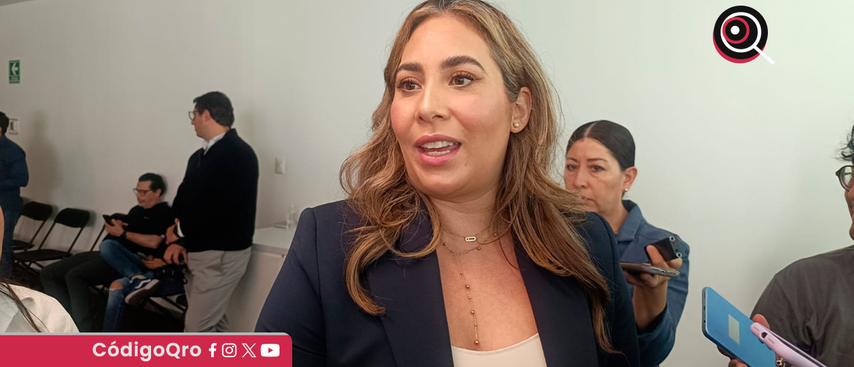 diputada, inviable, fiscalía para hombres,