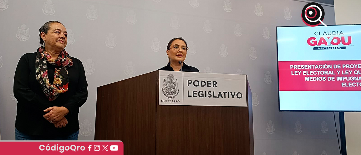 La diputada local del PT, Claudia Díaz Gayou, presentó varias iniciativas en materia electoral