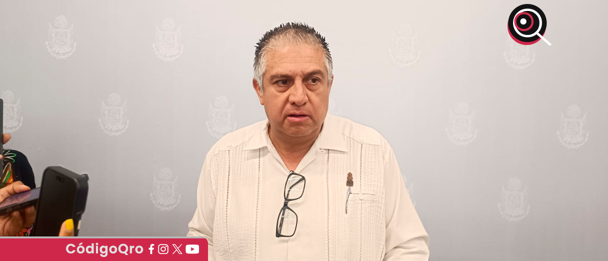 incluir, iniciativa, despenalización, aborto,