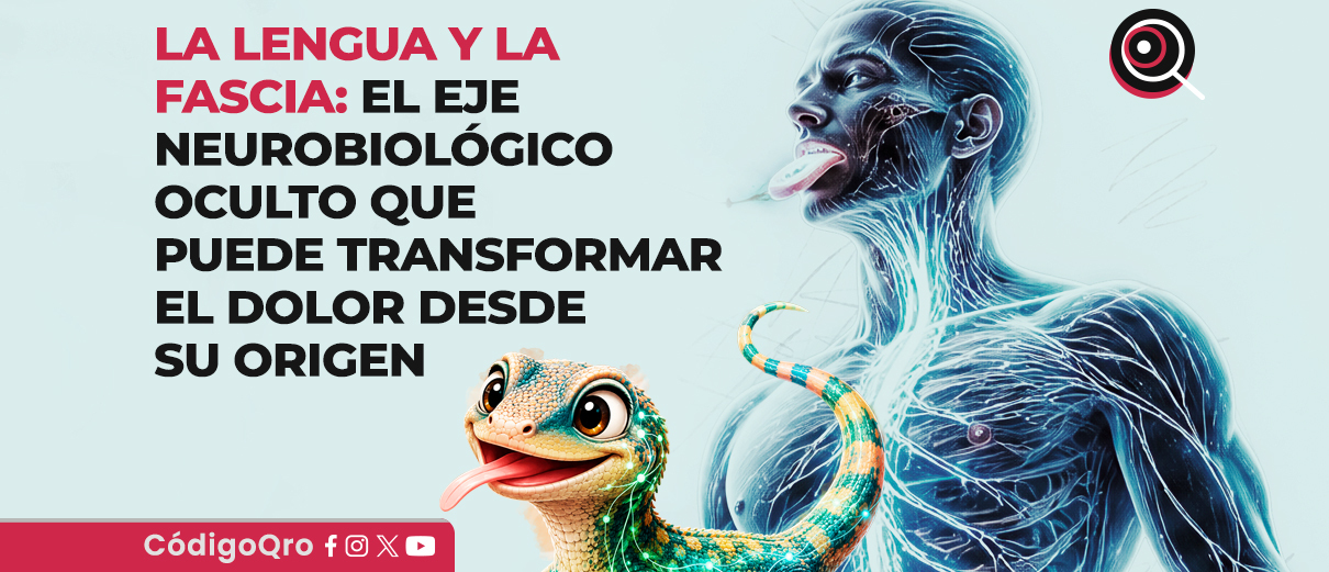 La lengua y la fascia: el eje neurobiológico oculto que puede transformar el dolor desde su origen