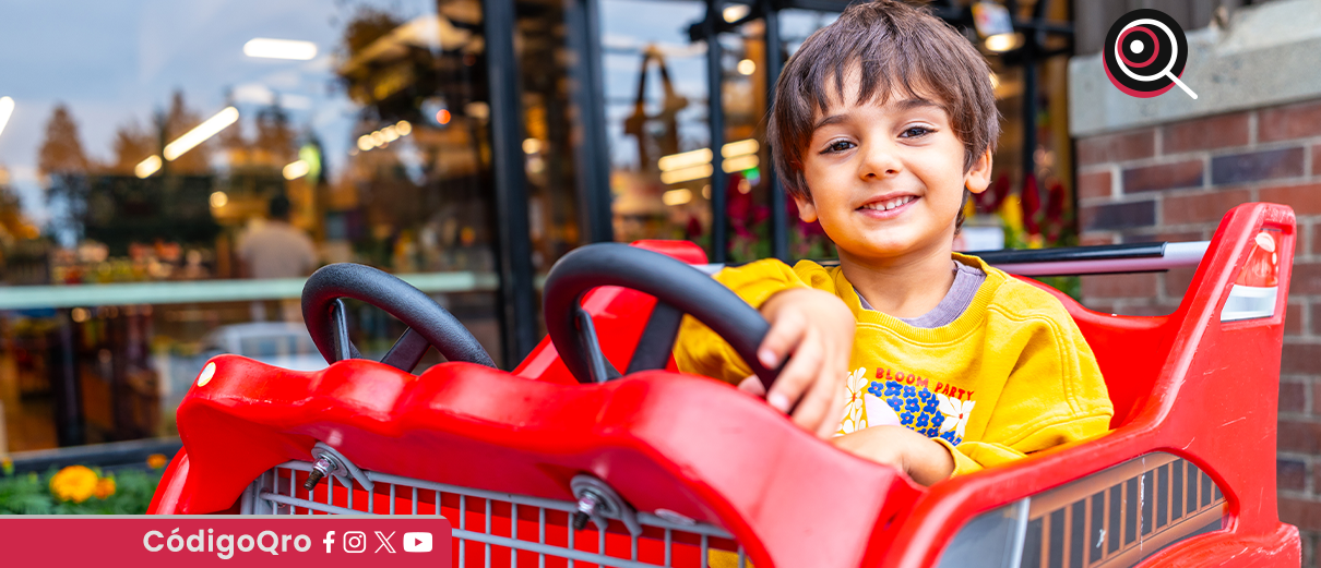 Niño en carrito de supermercado