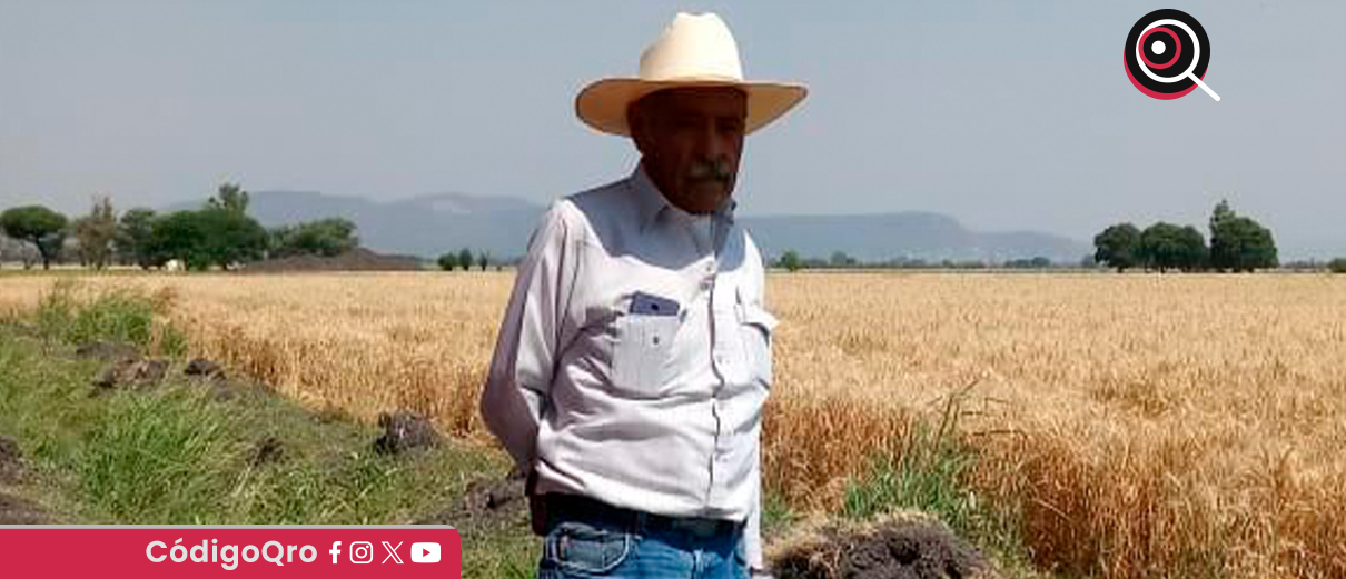 Frente por Querétaro, deslinda, acto de violencia, Pedro Escobedo,