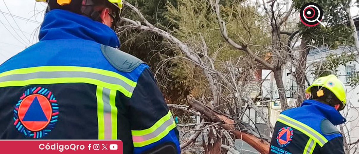 Protección Civil municipal atendió 14 reportes por fuertes vientos