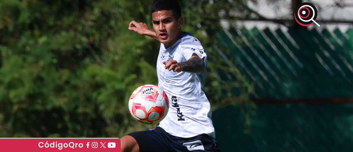 Gallos, Querétaro, Gallos Blancos