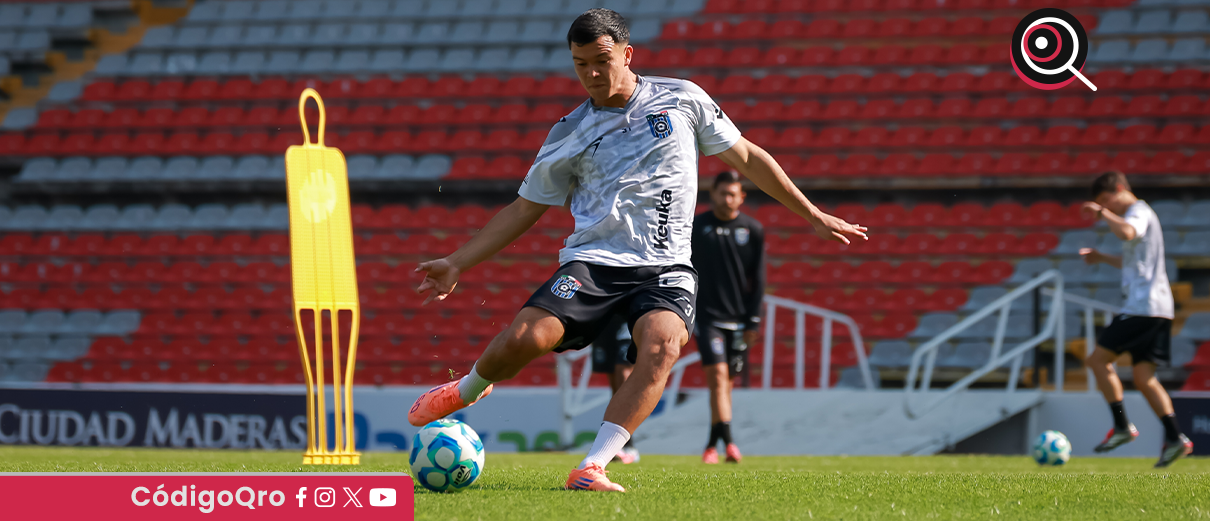 Gallos, listo, torneo,