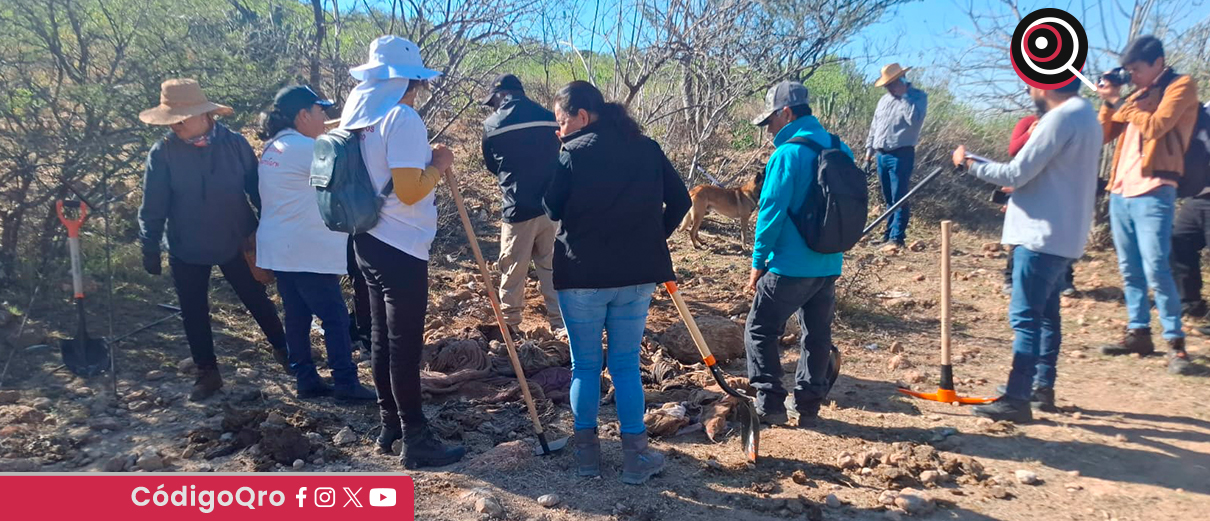 Familiares de personas desaparecidas encontraron una fosa clandestina en San Juan del Río