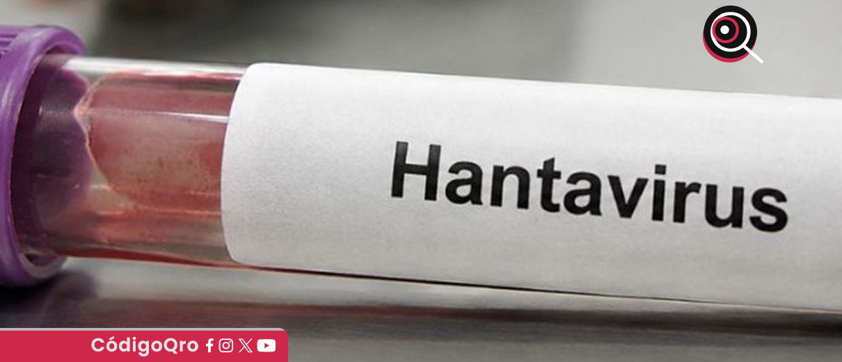 hantavirus 