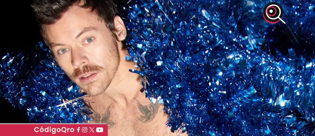 Harry Styles, Netflix