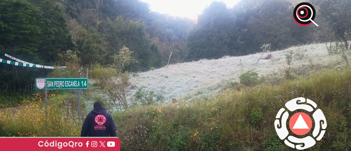 Reportan heladas en la Sierra Gorda