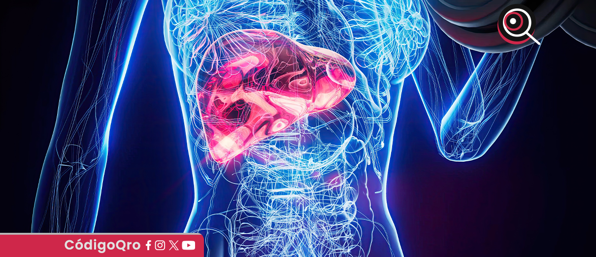 Alimentos que ayudan a proteger el hígado