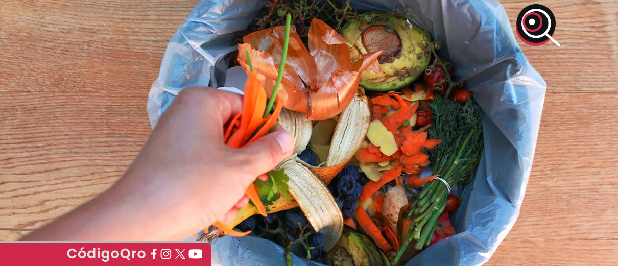 Hogares mexicanos, el mayor punto de desperdicio de comida y dinero