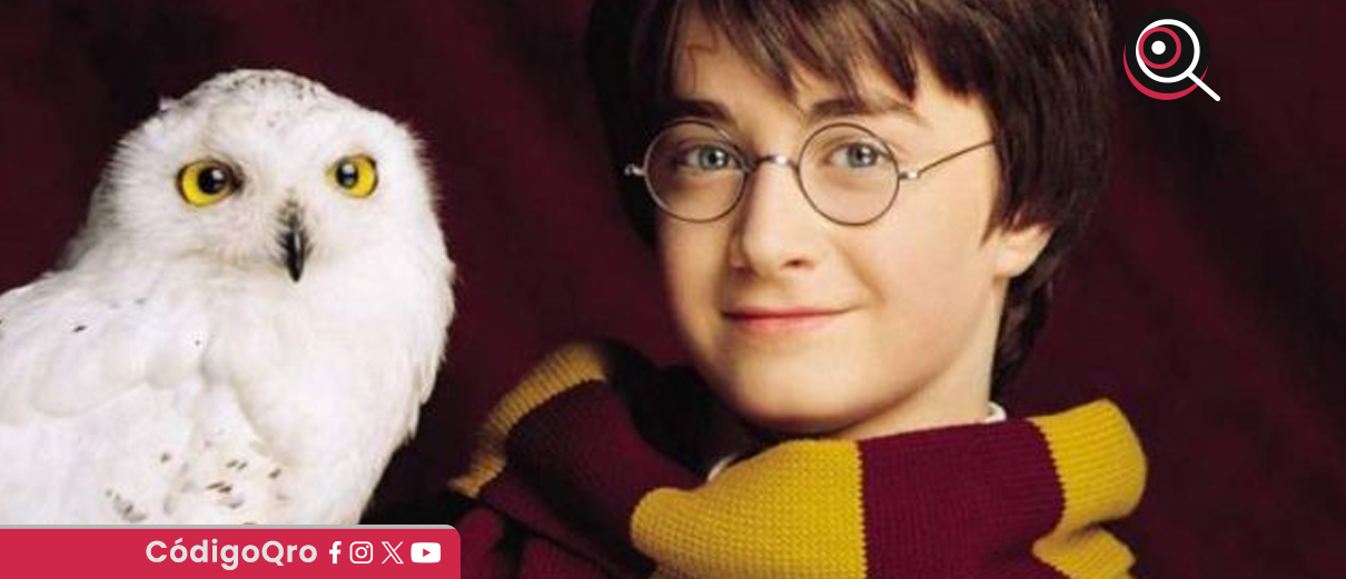 Lechuza de Harry Potter, entre las nuevas 40 especies migratorias protegidas