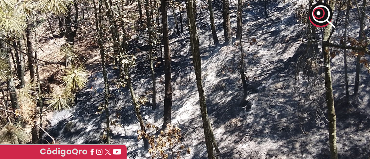 Querétaro, incendios