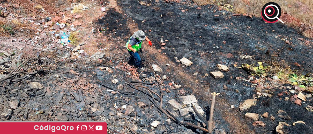 Incendio en Cerro Colorado consumió mil metros cuadrados de terreno en Milenio III