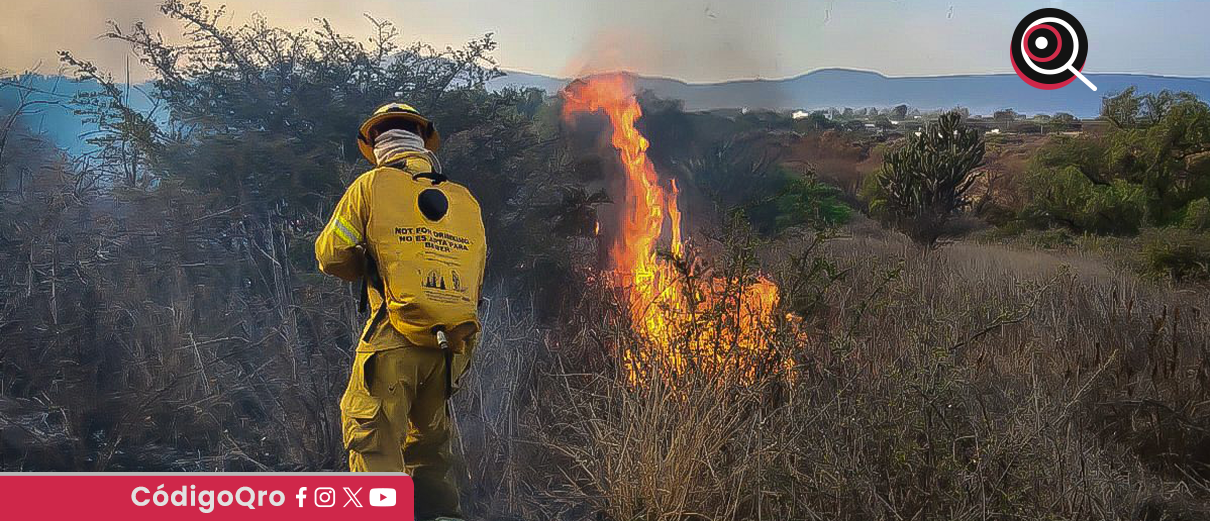 Incendios han afectado mil 200 hectáreas en El Marqués, reporta PC