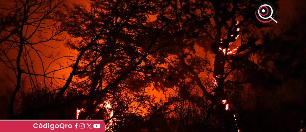 Los incendios en la Patagonia argentina han consumido más de 45 mil hectáreas