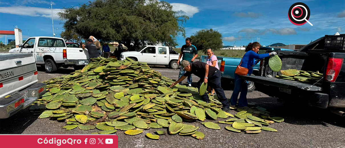 entregan, insumos, productores, Querétaro,