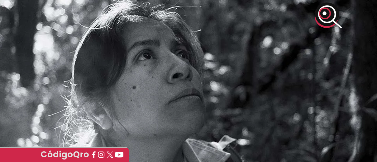 La reserva, tala ilegal