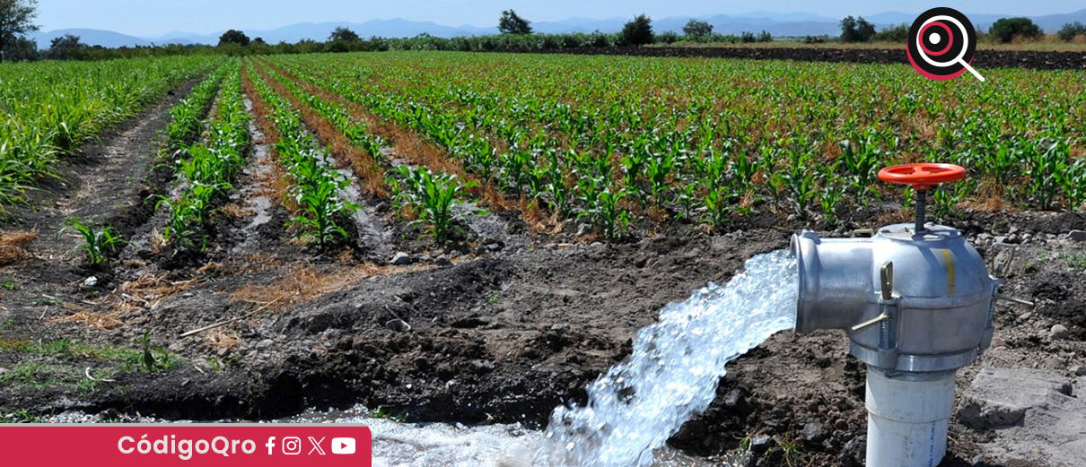 La Conagua hizo un llamado para que productores del campo regularicen sus concesiones de agua