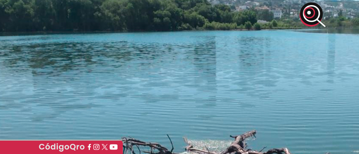 Comienzan acciones de mantenimiento del bordo Benito Juárez