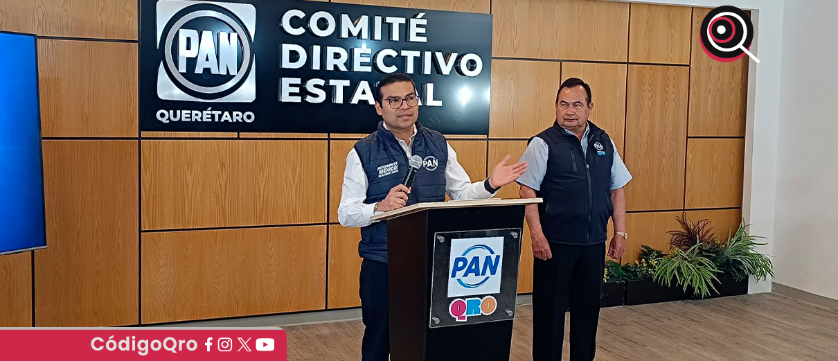 reforma electoral, dinero ilícito, PAN,