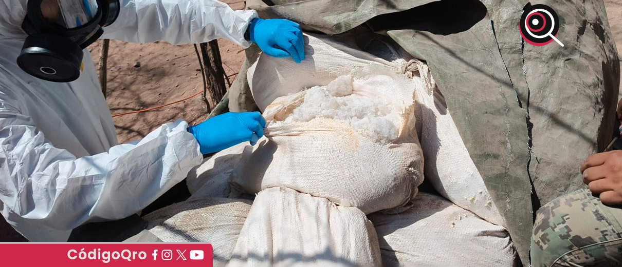 inhabilitan, tres narcolaboratorios, Sinaloa, SSPC, seguridad,