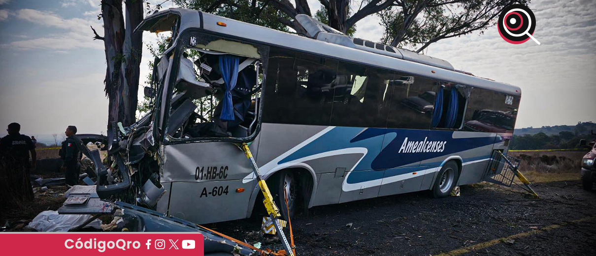 Un autobús chocó contra un árbol en la carretera estatal 310