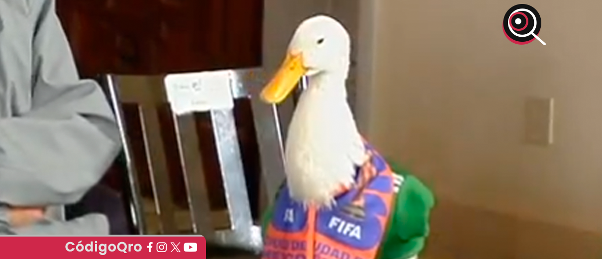 pato Merlín, mañanera, registrado, IMPI,
